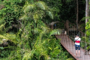 Из Бангкока: частный чартер на Кхао Яй с несколькими вариантами