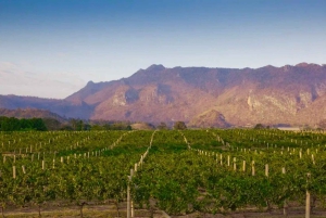 Из Бангкока: частный чартер на Кхао Яй с несколькими вариантами