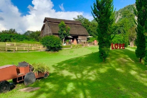 Из Бангкока: частный чартер на Кхао Яй с несколькими вариантами