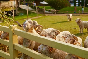 Из Бангкока: частный чартер на Кхао Яй с несколькими вариантами