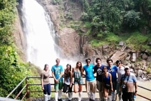 From Bangkok: Khao Yai Spectacular Waterfalls Day Trip