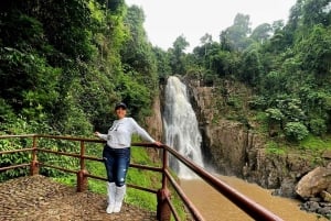 From Bangkok: Khao Yai Spectacular Waterfalls Day Trip