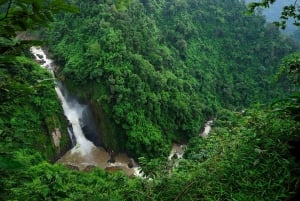 From Bangkok: Khao Yai Spectacular Waterfalls Day Trip