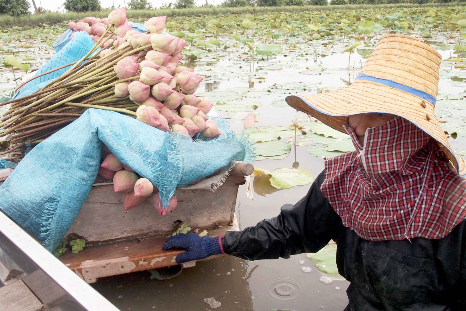 Da Bangkok: canale Mahasawat e fattoria con pranzo
