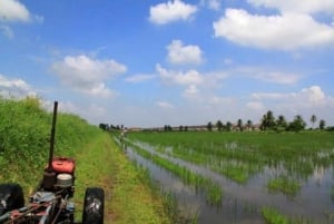 Bangkokista: Mahasawatin kanava ja maatila lounaalla
