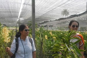 Vanuit Bangkok: Mahasawat-kanaal en boerderij met lunch