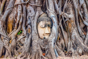 From Bangkok: Markets and Ayutthaya Tour
