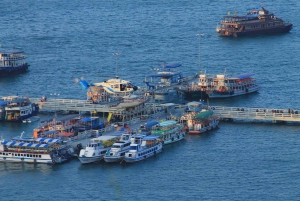 Da Bangkok: Escursione di un giorno a Pattaya con autista privato