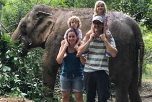 Vanuit dagtrip ethische olifantenopvang Pattaya