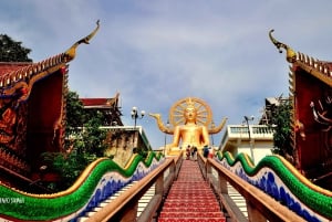 From Bangkok: Pattaya Private Customizable Day Trip