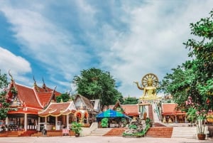 From Bangkok: Pattaya Private Customizable Day Trip