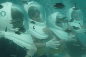 Desde Bangkok/Pattaya: Excursión de un día privada y personalizada a Pattaya