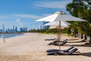 De Banguecoque: Passeio privado de um dia a Pattaya