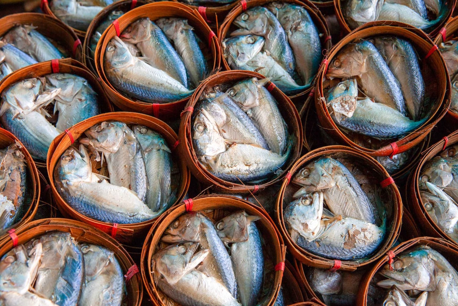 Fra Bangkok: Privat biludlejning til Maeklong Railway Market