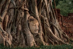 Fra Bangkok: Privat guidet Ayutthaya dagstur
