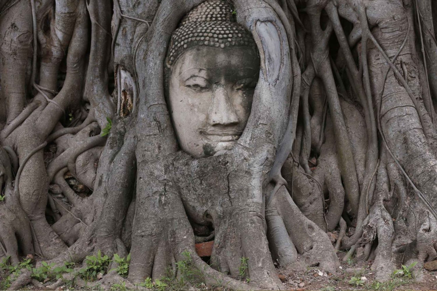 Z Bangkoku: prywatna wycieczka z przewodnikiem po 6 świątyniach Ayutthaya