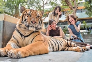 Bangkokista: Pattaya Dreamy Photo Tour