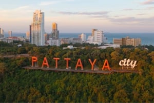 Desde Bangkok: Excursión de un día al Santuario de la Verdad y a la ciudad de Pattaya