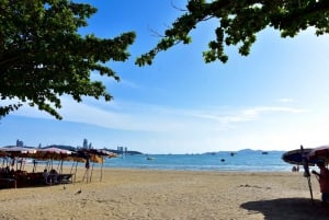 Desde Bangkok: Excursión de un día al Santuario de la Verdad y a la ciudad de Pattaya