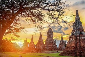 De Bangkok: Tour Ayutthaya + Almoço + guia espanhol