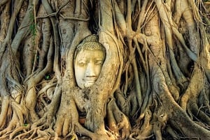 De Bangkok: Tour Ayutthaya + Almoço + guia espanhol