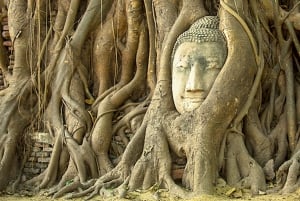 De Bangkok: Tour Ayutthaya + Almoço + guia espanhol