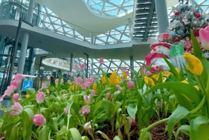 Z Bangkoku: Tulipanowy Ogród