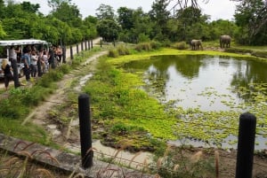 From Bangkok: Wildlife Rescue and Elephant Rescue Tour