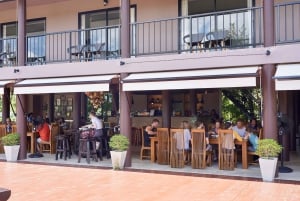 Från Bangkok: Tur för att rädda vilda djur och elefanter