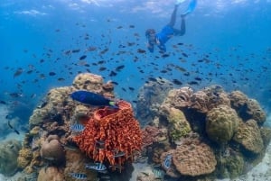 Z Bangkoku: Jednodniowa wycieczka na wyspę Nemo ze zdjęciami z drona i lunchem