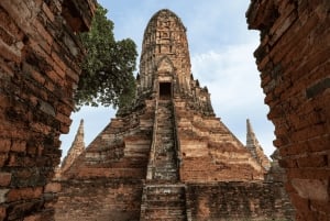 Full Day : Ayutthaya & Floating Market with Private Driver