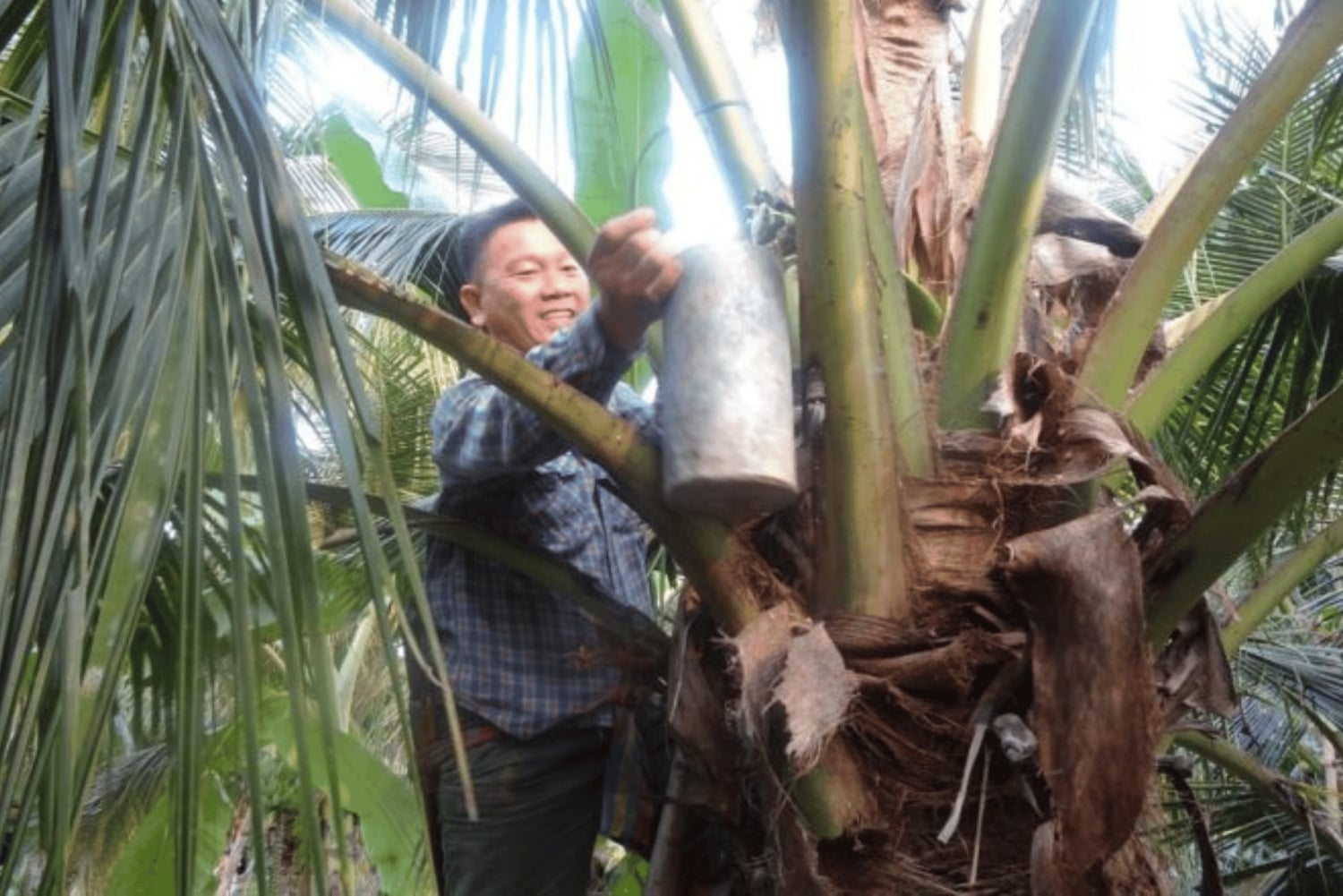 Visite d'une journée complète du marché flottant : explorez ce lieu d'intérêt emblématique