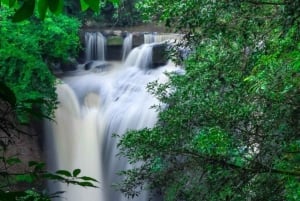 Экскурсия на целый день в национальный парк Као Яй, внесенный в список Всемирного наследия ЮНЕСКО