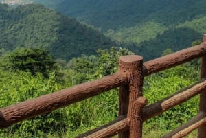 Heldagstur till UNESCO:s nationalpark Khao Yai