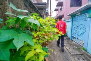 Banguecoque escondida: canal local e vila de artistas de barco elétrico