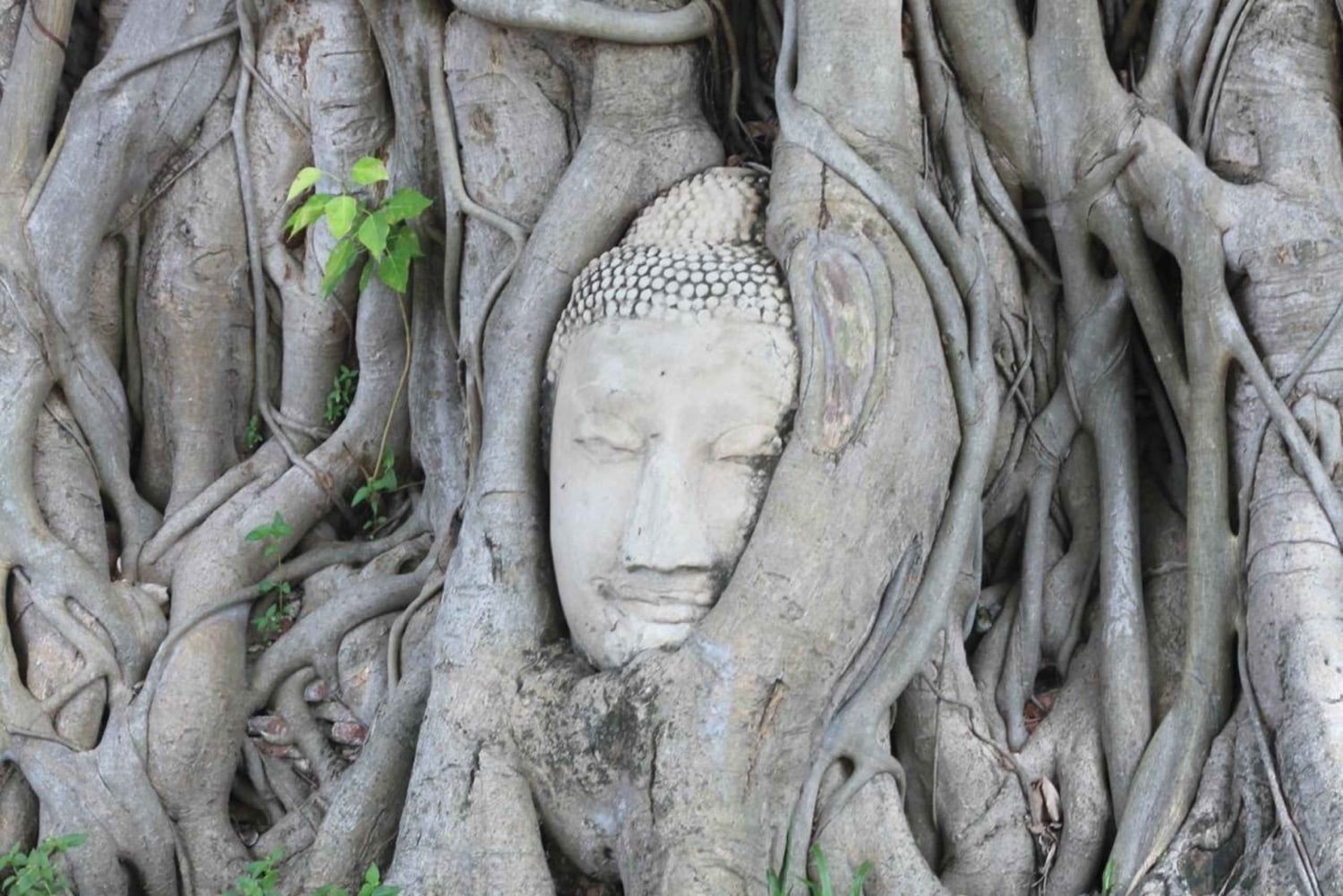 Excursión privada individual de 8 horas: Bangkok/Ayutthaya