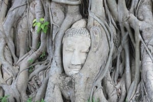 Excursión privada individual de 8 horas: Bangkok/Ayutthaya