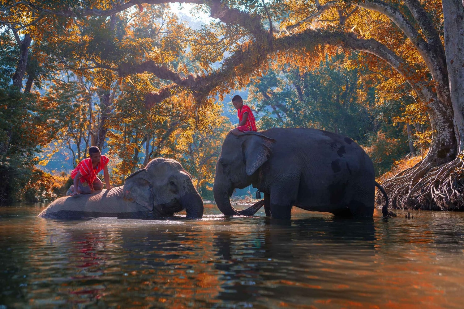 Fretamento Privado de Kanchanaburi a partir de Bangkok | Tailândia
