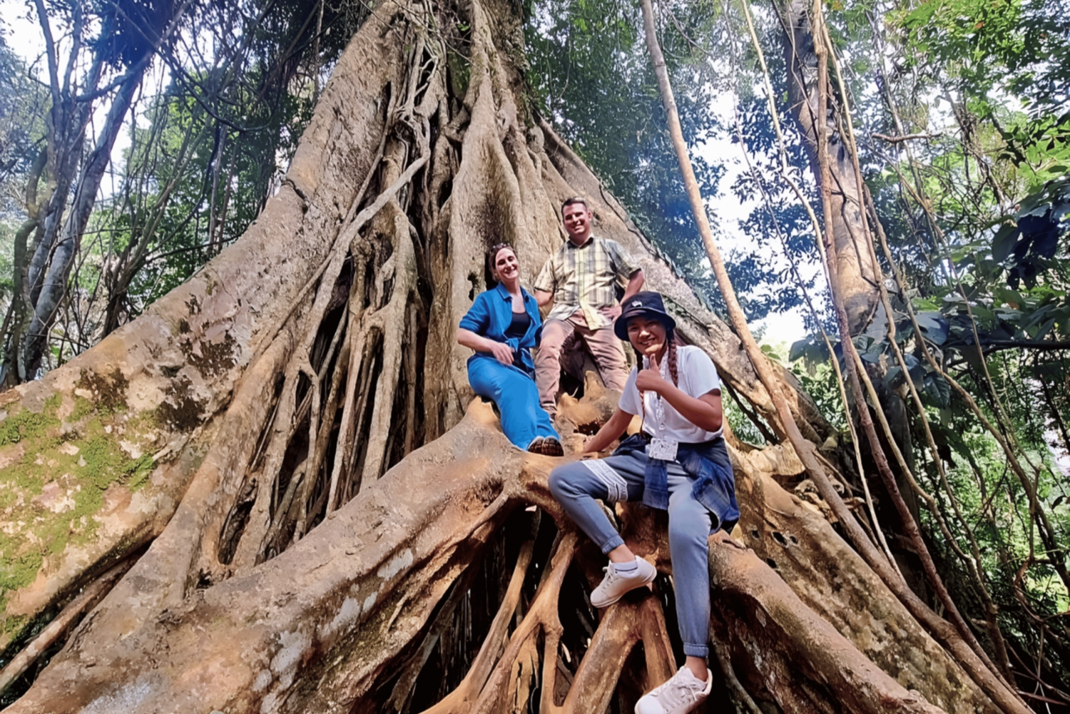 Khao Yain viidakko-kävely ja Haew Suwat -vesiputous thaimaalaisella lounaspaketilla