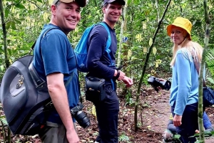 Khao Yain viidakko-kävely ja Haew Suwat -vesiputous thaimaalaisella lounaspaketilla
