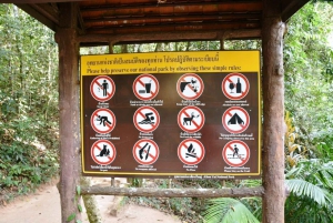 Khao Yain viidakko-kävely ja Haew Suwat -vesiputous thaimaalaisella lounaspaketilla