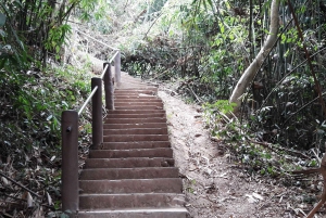 Khao Yain viidakko-kävely ja Haew Suwat -vesiputous thaimaalaisella lounaspaketilla