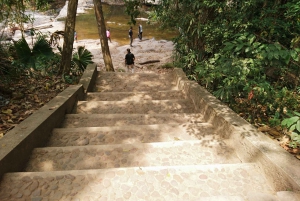 Khao Yain viidakko-kävely ja Haew Suwat -vesiputous thaimaalaisella lounaspaketilla