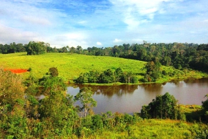 Khao Yain viidakko-kävely ja Haew Suwat -vesiputous thaimaalaisella lounaspaketilla