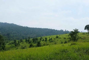 Khao Yain viidakko-kävely ja Haew Suwat -vesiputous thaimaalaisella lounaspaketilla