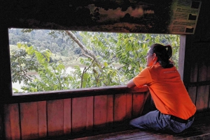 Khao Yain viidakko-kävely ja Haew Suwat -vesiputous thaimaalaisella lounaspaketilla