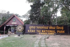 Khao Yai National Park Jungle Trekking Day Trip From Bangkok