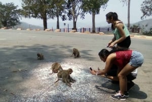 Khao Yai National Park: Waterfalls - Heaw narok & Heaw Suwat