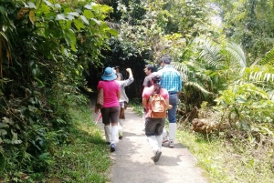 Khao Yai Nationalpark: Vandfald - Heaw narok & Heaw Suwat