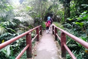 Parque Nacional de Khao Yai: Cataratas - Heaw Narok e Heaw Suwat